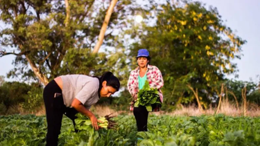 ate agricultura: exigimos la continuidad efectiva del inacfi como politica publica