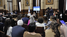 Ficha Limpia consiguió dictamen en el Senado y quedó listo para ser tratado en el recinto