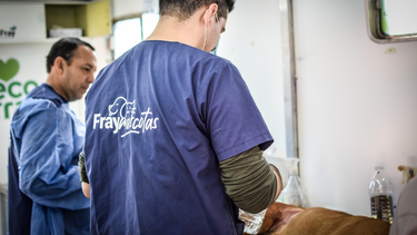 realizaron castraciones gratuitas a mascotas de fray y de valle viejo