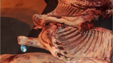 secuestraron 130 kg de carne en el puesto caminero