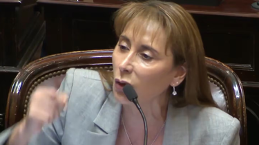 callate mamarracho: fuerte cruce entre la senadora cristina lopez y victoria huala en medio del debate por el presupuesto