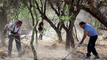 Más avances en la puesta en valor de El Shincal